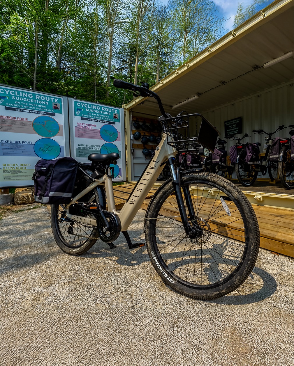 Tobermory e-bikes on trail